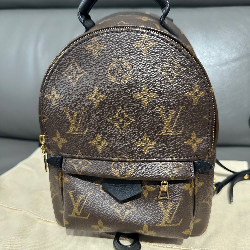 Louis Vuitton Palm Springs  mini - Picture 10 of 16